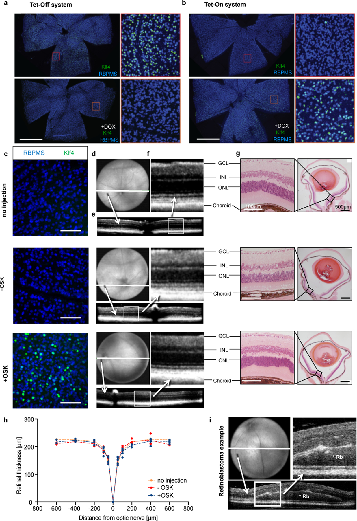 An external file that holds a picture, illustration, etc. Object name is nihms-1640389-f0006.jpg