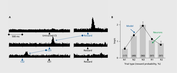 An external file that holds a picture, illustration, etc. Object name is DialoguesClinNeurosci-18-23-g003.jpg