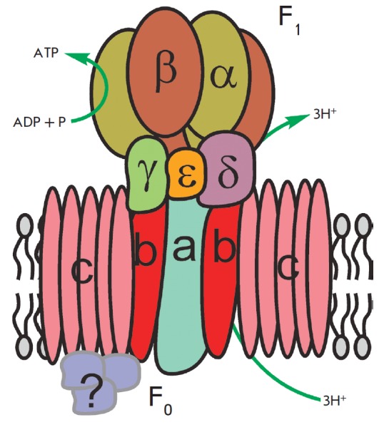 An external file that holds a picture, illustration, etc. Object name is AN20758251-24-009-g002.jpg